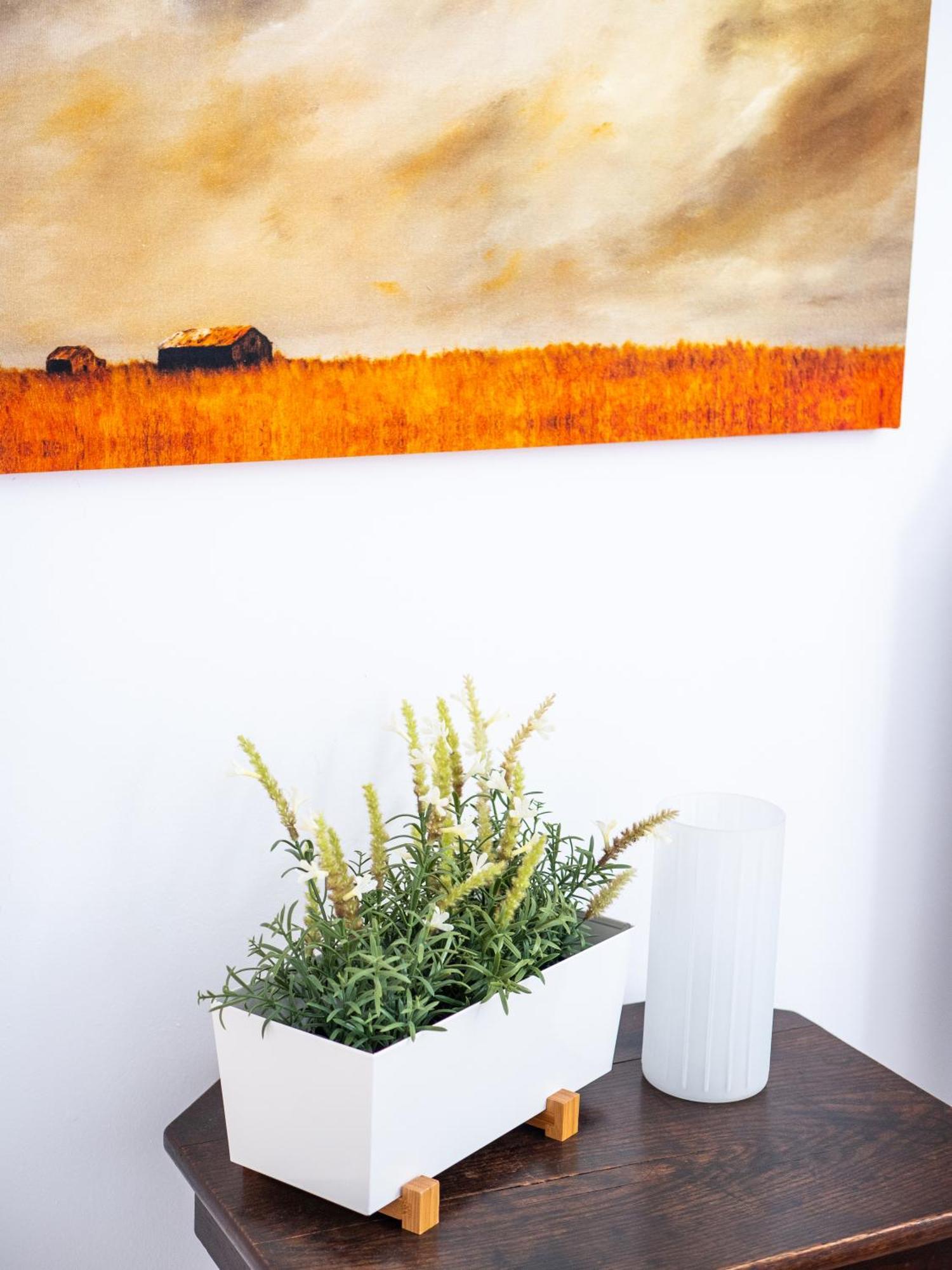 Casa Olina Apartment Bahia de Casares Bilik gambar